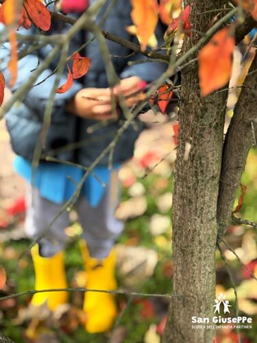 Approccio multidisciplinare dell'infanzia albero autunno